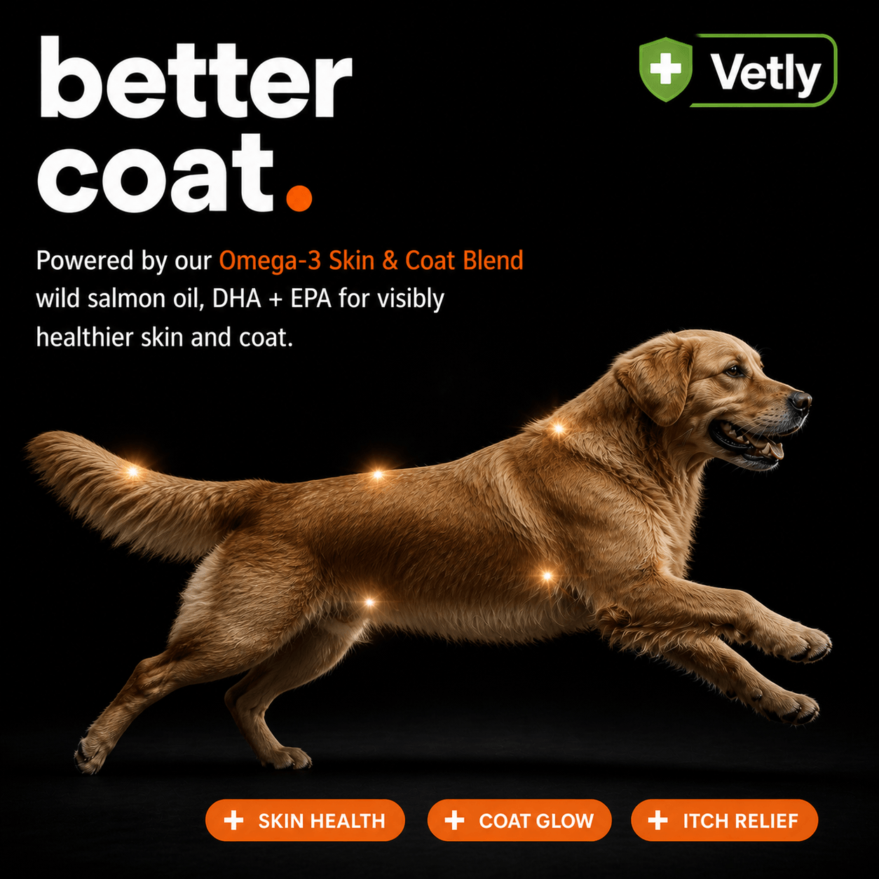 Vetly Omega 3 Chews (120 servings)