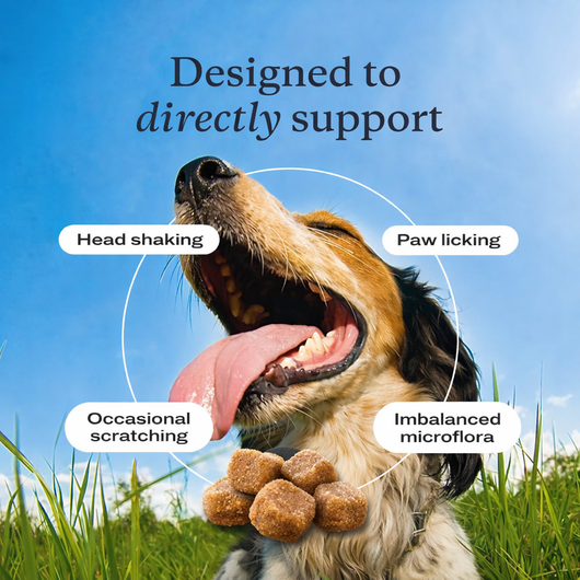 Omega 3 Skin & Coat Chews for Dogs – Salmon Oil DHA & EPA for Itch Relief & Shiny Fur (120 Chews)