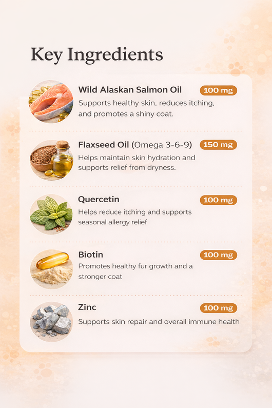 Omega 3 Skin & Coat Chews for Dogs – Salmon Oil DHA & EPA for Itch Relief & Shiny Fur (120 Chews)