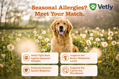 Omega 3 Skin & Coat Chews for Dogs – Salmon Oil DHA & EPA for Itch Relief & Shiny Fur (120 Chews)