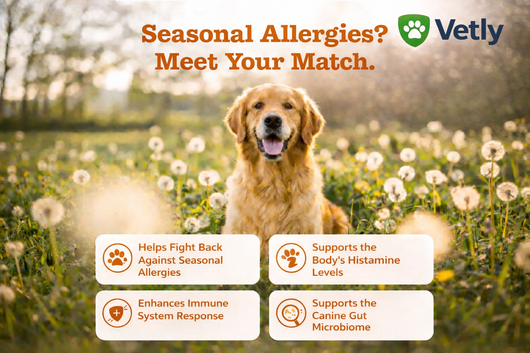 Omega 3 Skin & Coat Chews for Dogs – Salmon Oil DHA & EPA for Itch Relief & Shiny Fur (120 Chews)