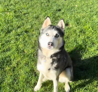 Shannon M. - Seattle, WA