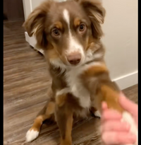 Jessica L. - Phoenix, AZ