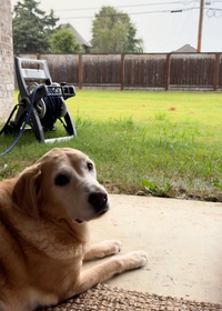 Daniel R.- Austin, TX