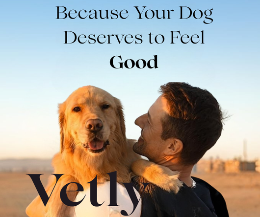 Omega 3 Skin & Coat Chews for Dogs – Salmon Oil DHA & EPA for Itch Relief & Shiny Fur (120 Chews)